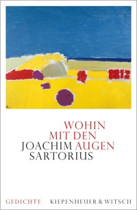 Wohin mit den Augen - Joachim Sartorius - E-Book