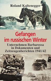 Gefangen im russischen Winter - Roland Kaltenegger - E-Book