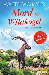 Mord am Wildkogel - Walter Bachmeier - E-Book