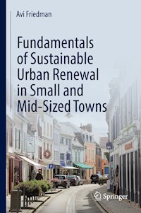 Fundamentals of Sustainable Urban Renewal in Small and Mid-Sized Towns - Avi Friedman - E-Book