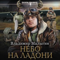 Небо на ладони - Владимир Малыгин - Hörbuch