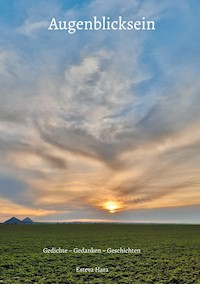 Augenblicksein - Esteva Hara - E-Book