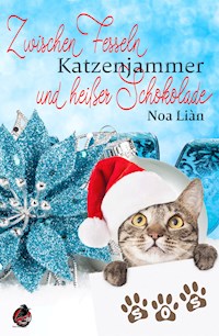 Zwischen Fesseln, Katzenjammer und heißer Schokolade - Noa Liàn - E-Book