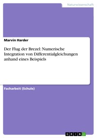 Der Flug der Brezel: Numerische Integration von Differentialgleichungen anhand eines Beispiels - Marvin Harder - E-Book