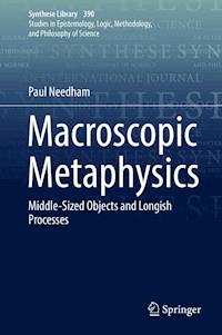 Macroscopic Metaphysics - Paul Needham - E-Book