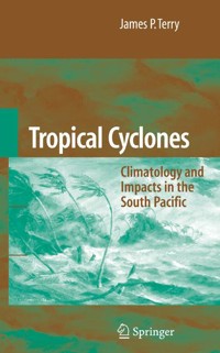 Tropical Cyclones - James P. Terry - E-Book