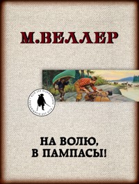 На волю, в пампасы! - Михаил Веллер - E-Book