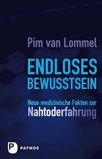 Endloses Bewusstsein - Pim van Lommel - E-Book