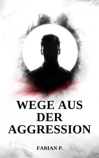 Wege aus der Aggression - Fabian Pscherer - E-Book