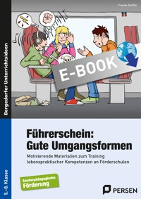 Führerschein: Gute Umgangsformen - Frauke Steffek - E-Book