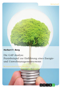 Die GAP-Analyse. Praxisbeispiel zur Einführung eines Energie- und Umweltmanagementsystems - Herbert F. Berg - E-Book