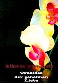 Orchidee der geheimen Liebe - Qiufu Yang-Möller - E-Book