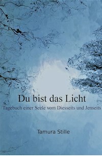 Du bist das Licht - Tamura Stille - E-Book