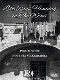 Like Rags Hanging In The Wind - Roberta Mezzabarba - E-Book