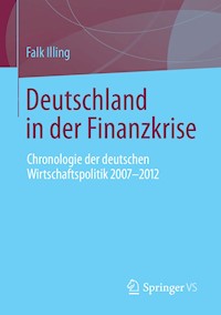 Deutschland in der Finanzkrise - Falk Illing - E-Book