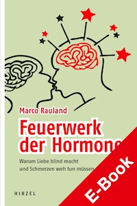 Feuerwerk der Hormone - Marco Rauland - E-Book