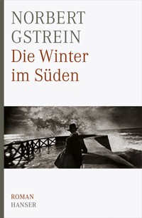 Die Winter im Süden - Norbert Gstrein - E-Book