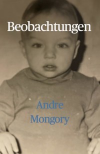 Beobachtungen - Andre Mongory - E-Book