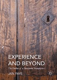 Experience and Beyond - Jan Faye - E-Book