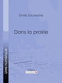 Dans la prairie - Emile Souvestre - E-Book