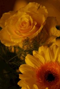 Mein Liebesbrief an Dich - null michelle_werner - E-Book