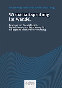 Wirtschaftsprüfung im Wandel - - E-Book