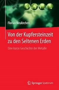 Von der Kupfersteinzeit zu den Seltenen Erden - Florian Neukirchen - E-Book