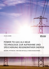 Power-to-Gas als neue Technologie zur Aufnahme und Speicherung regenerativer Energie. Bedarf, Potenzial und der aktuelle Forschungsstand - Julia Luger - E-Book