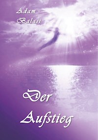 Der Aufstieg - Adam Balasi - E-Book