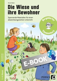 Die Wiese und ihre Bewohner - Nicole Weber - E-Book