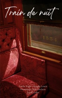 Train de nuit - Emilie Riger - E-Book