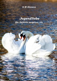 Jugendliebe - O.W. Stevens - E-Book