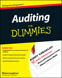 Auditing For Dummies - Maire Loughran - E-Book