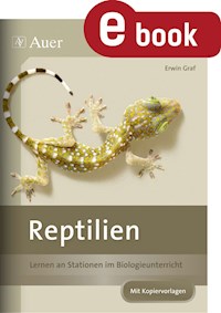 Reptilien - Erwin Graf - E-Book