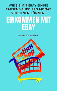 Einkommen mit eBay - Andre Sternberg - E-Book