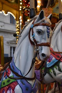 Die Autistin - Michel Tapión - E-Book