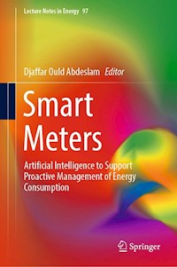 Smart Meters -  - E-Book