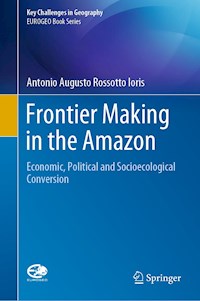 Frontier Making in the Amazon - Antonio Augusto Rossotto Ioris - E-Book