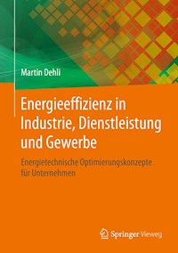 Energieeffizienz in Industrie, Dienstleistung und Gewerbe - Martin Dehli - E-Book