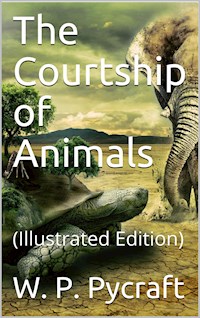 The Courtship of Animals - W. P. Pycraft - E-Book