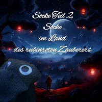 Socke Teil 2 Socke im Land des rubinroten Zauberers - Jörg Janetzko - Hörbuch