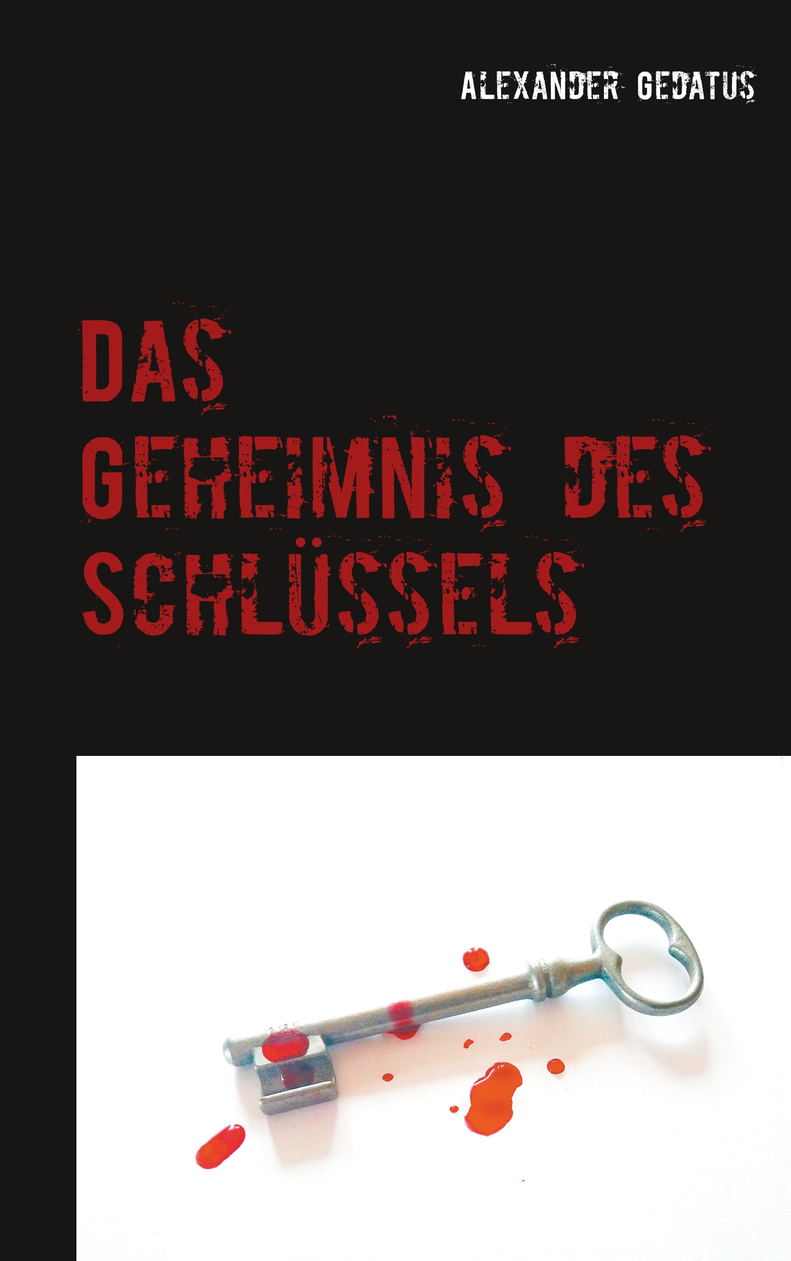 Das Geheimnis des Schlüssels - Alexander Gedatus - E-Book