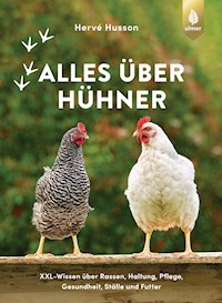 Alles über Hühner - Hervé Husson - E-Book