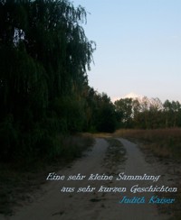 Eine sehr kleine Sammlung aus sehr kurzen Geschichten - Judith Kaiser - E-Book