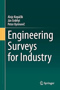 Engineering Surveys for Industry - Alojz Kopáčik - E-Book