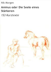 Animus oder Die Seele eines Stärkeren - Nik Morgen - E-Book