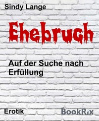 Ehebruch - Sindy Lange - E-Book