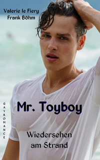 Mr. Toyboy - Valerie le Fiery - E-Book