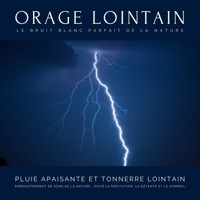 Pluie apaisante et tonnerre lointain – Enregistrement de sons de la nature – Pour la méditation, la détente et le sommeil – Le bruit blanc parfait de la nature - Dr. Laurence Goldman - Hörbuch