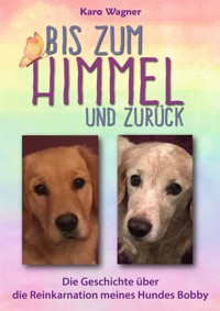 Bis zum Himmel und zurück - Karo Wagner - E-Book